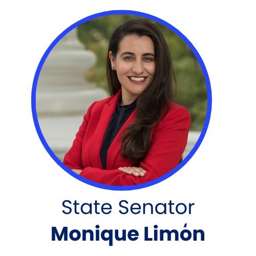 State Legislator of the Year - Senator Monique Limon