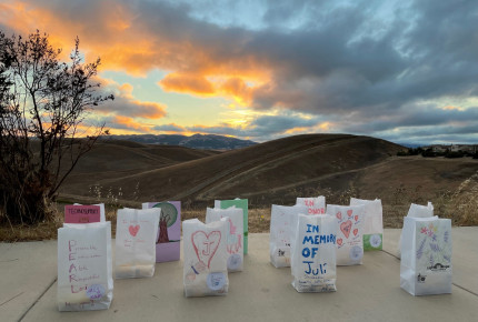 Display of Lights of Hope Bags