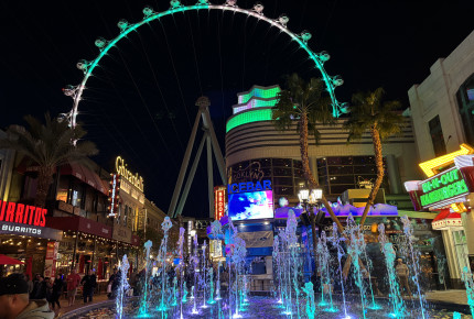 High Roller Lit Up for Cervical Cancer 