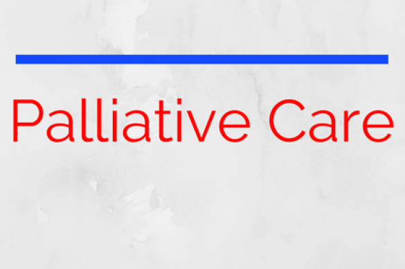 Palliative Care in red font